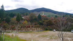 呑山観音寺 (106)