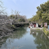 日吉神社 (14) うなぎ供養碑