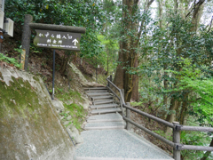 祖谷のかずら橋 (3)