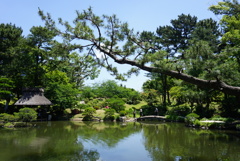 広島 縮景園にて…
