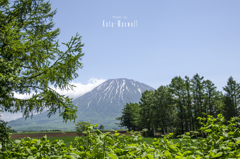 羊蹄山