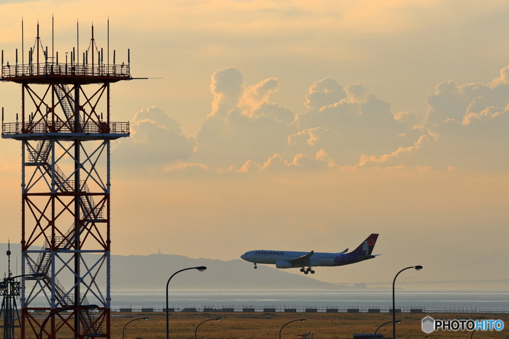 関空 夏-6