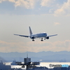 羽田空港第1ターミナルから-1