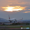 伊丹 夏-1