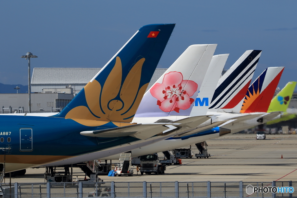 関空 夏-2
