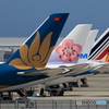 関空 夏-2