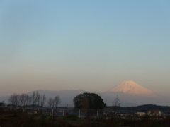 P1130153　今朝の富士山