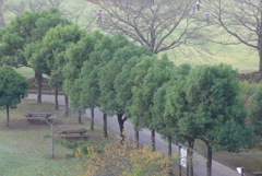 P1280725　いつもの公園
