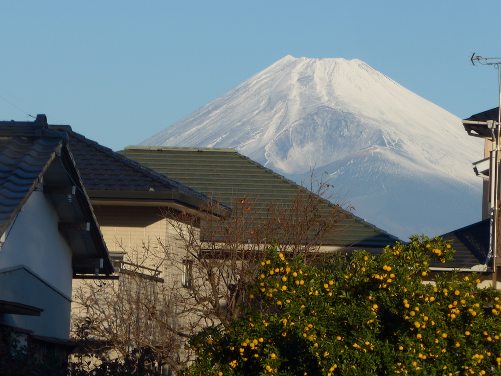 P1120783　11月23日 今朝の富士山