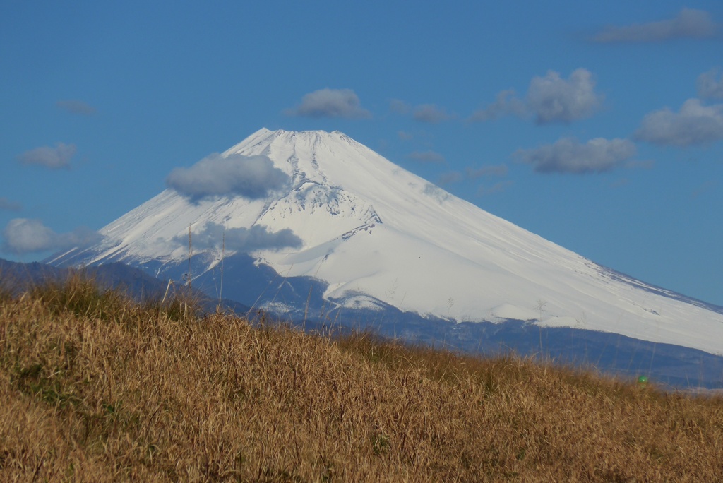 P1190996　2月2日 今日の富士山