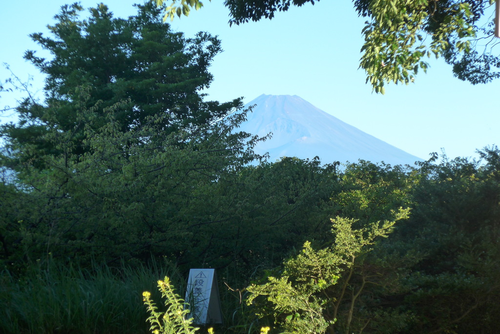 P1170410　8月5日 今朝の富士山