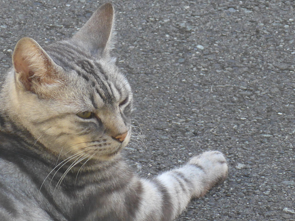 P1110208　イケメン…♪