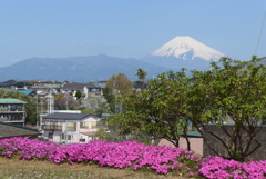 P1320425　4月3日 今日の富士山