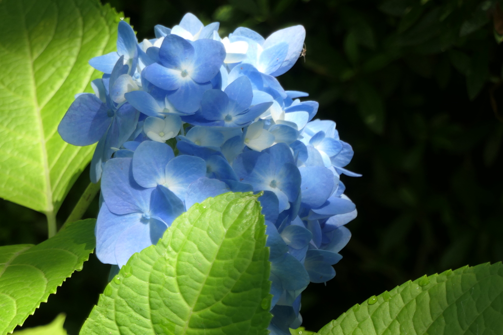 P1012289　いつもの公園で