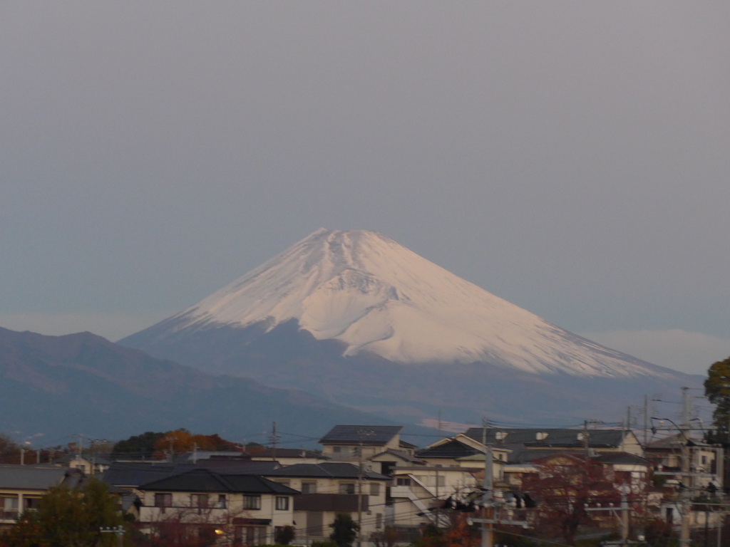 11月25日　朝の富士山