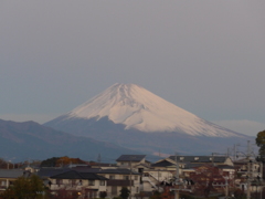 11月25日　朝の富士山