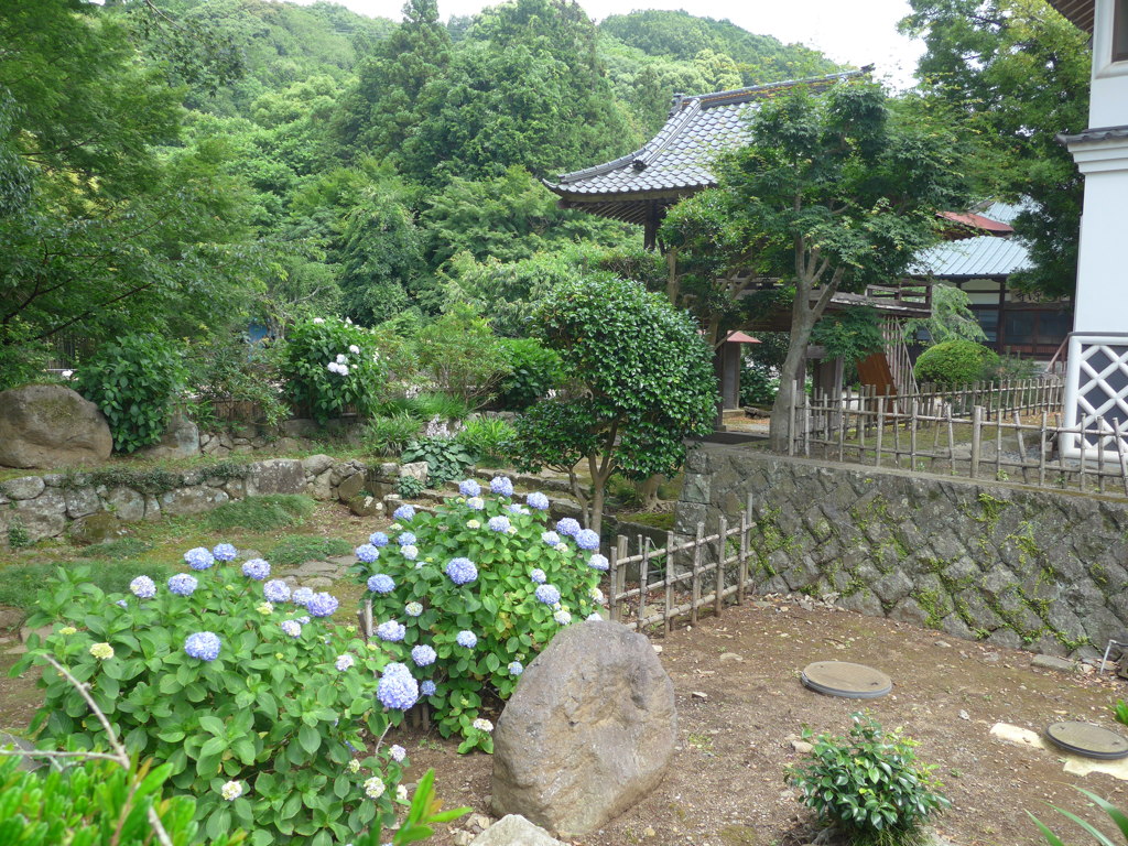 P1100217　伊豆高源寺