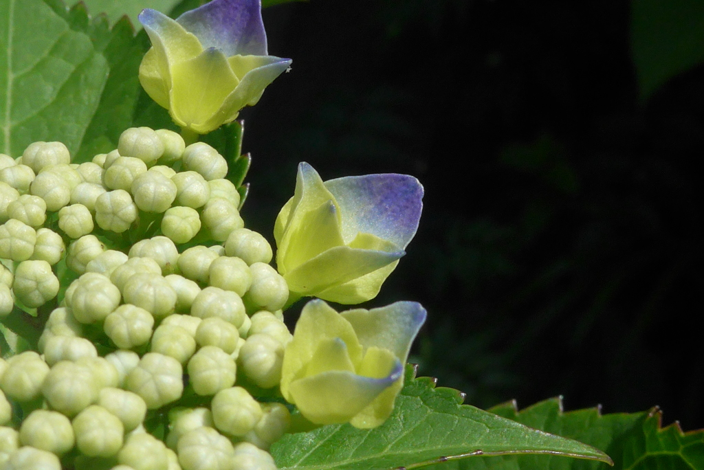 P1090770　これから♪