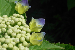 P1090770　これから♪