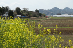 P1023576　春の風景