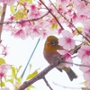 P1200575　おはよう～♪