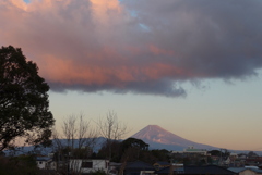 P1250798　1月19日 朝焼け雲と富士山