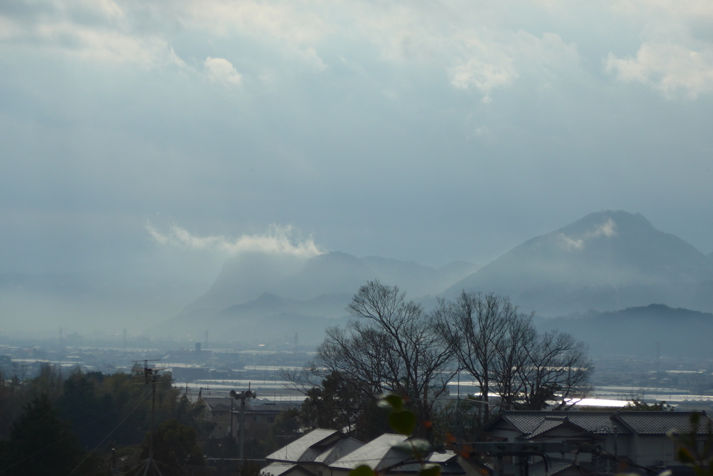 ある日の風景