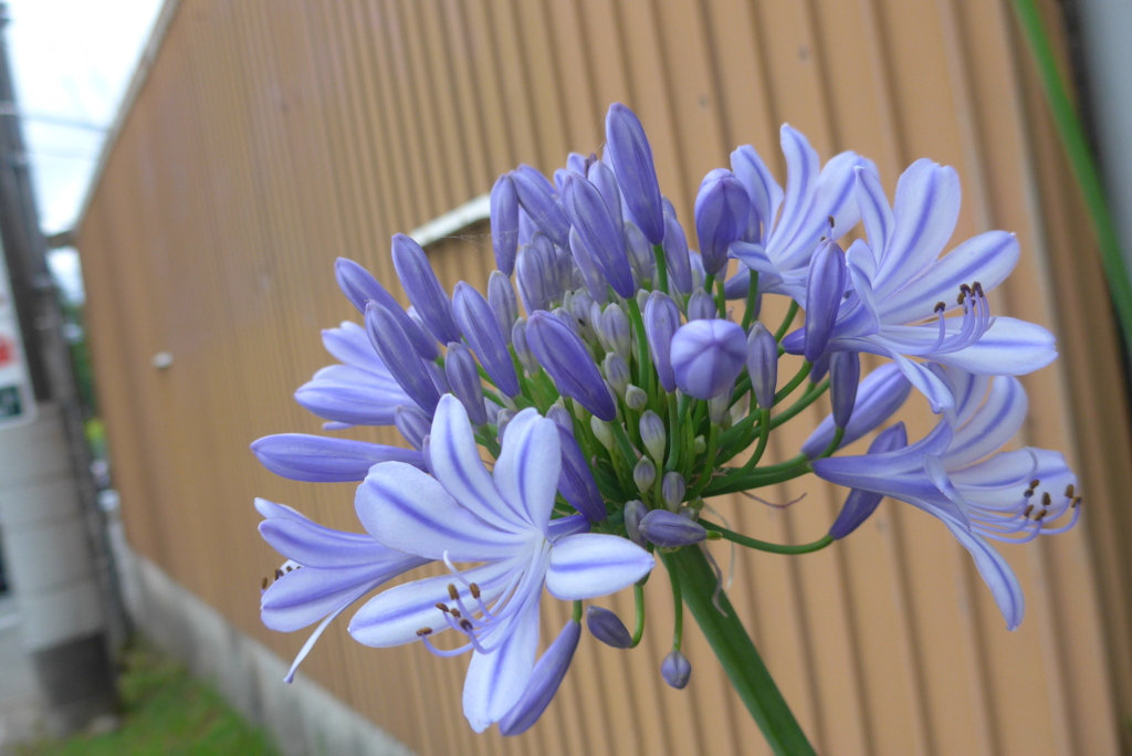 P1300611　おはよう♪