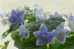 P1220501　母の日に～♡♪