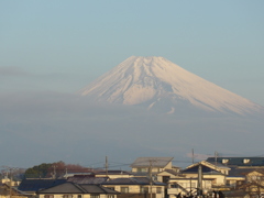 P1060913　１月16日 今朝の富士山
