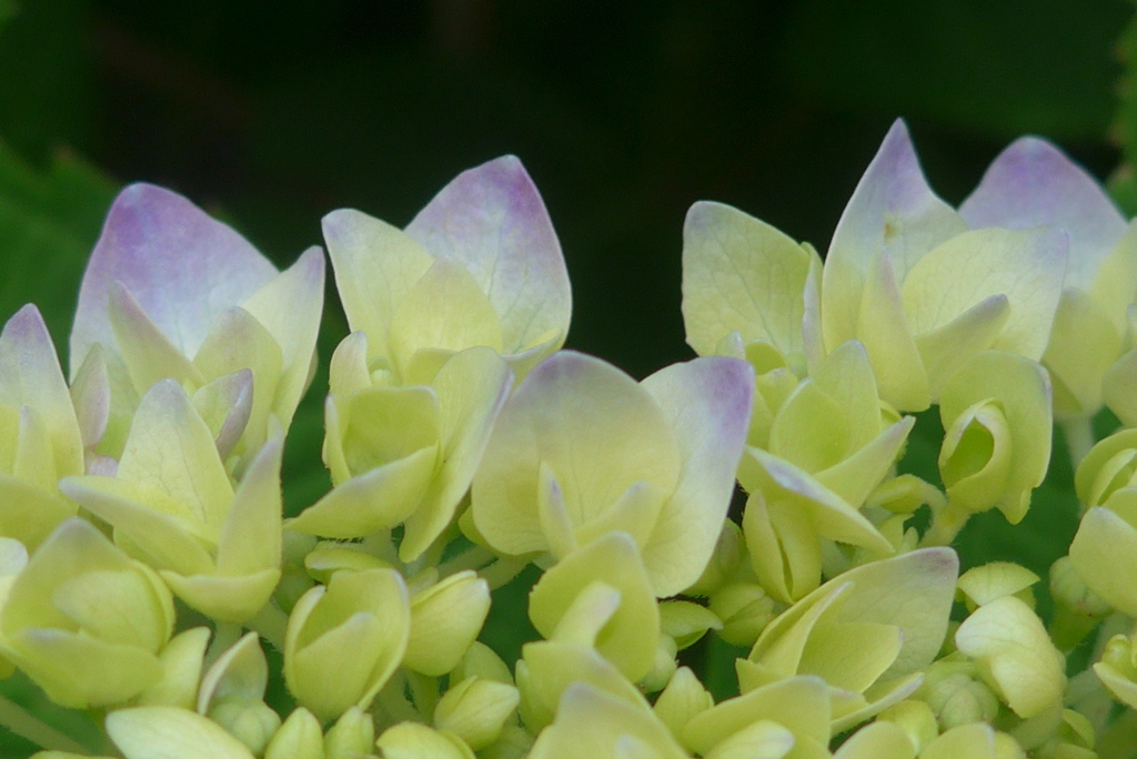 P1220758　はじまり