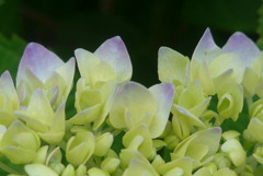 P1220758　はじまり