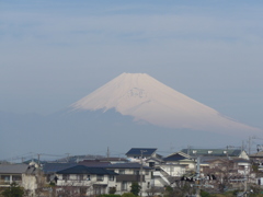 P1080018　３月の富士山