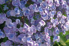 P1270637　くるくる～♪