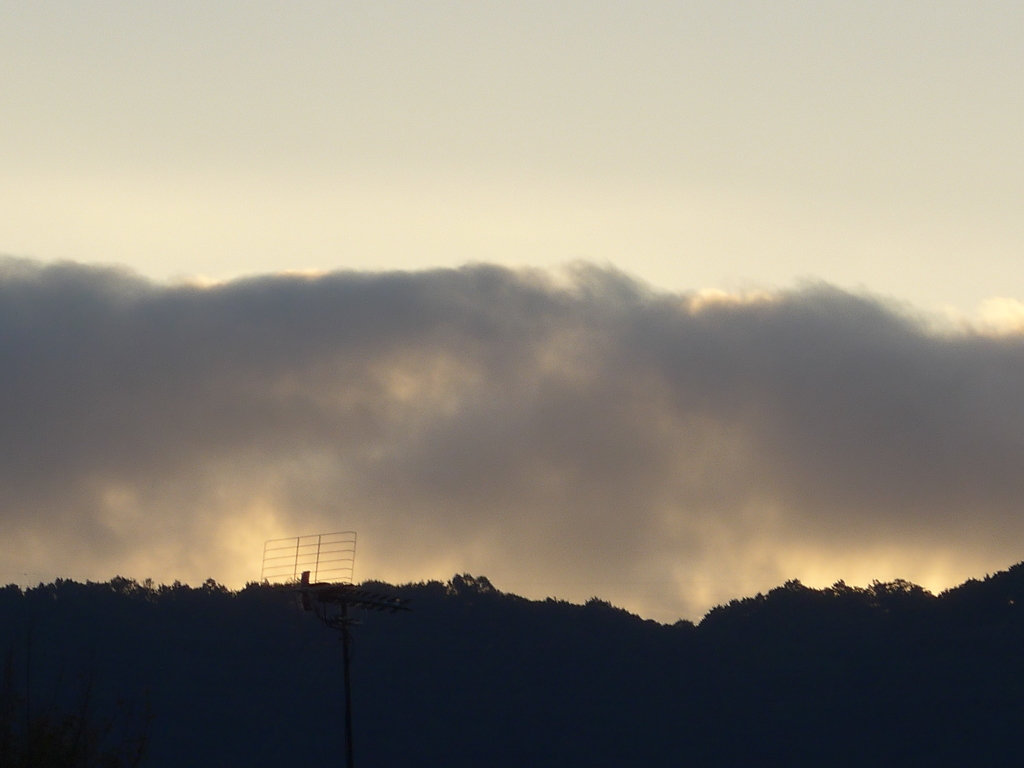 P1110856　ある朝