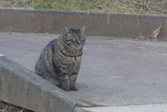 P1200998　りりしいね～♪