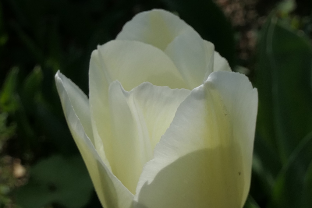 P1035575