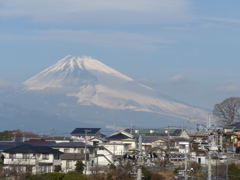 P1070184　１月29日 今日の富士山