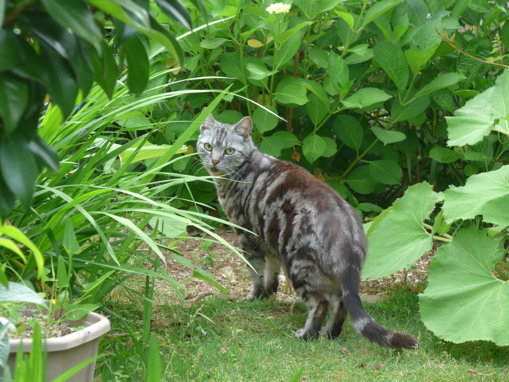 P1090613　呼んだ？