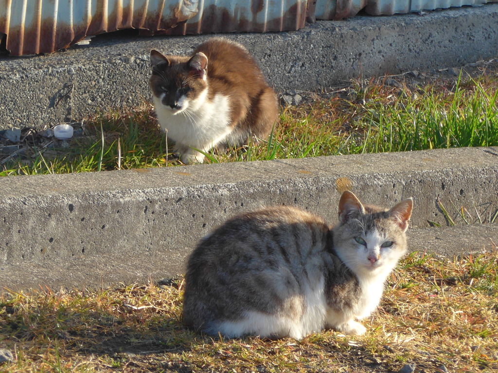 P1070461　おはよう♪