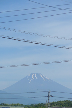 P1360204　6月15日 電線と富士山