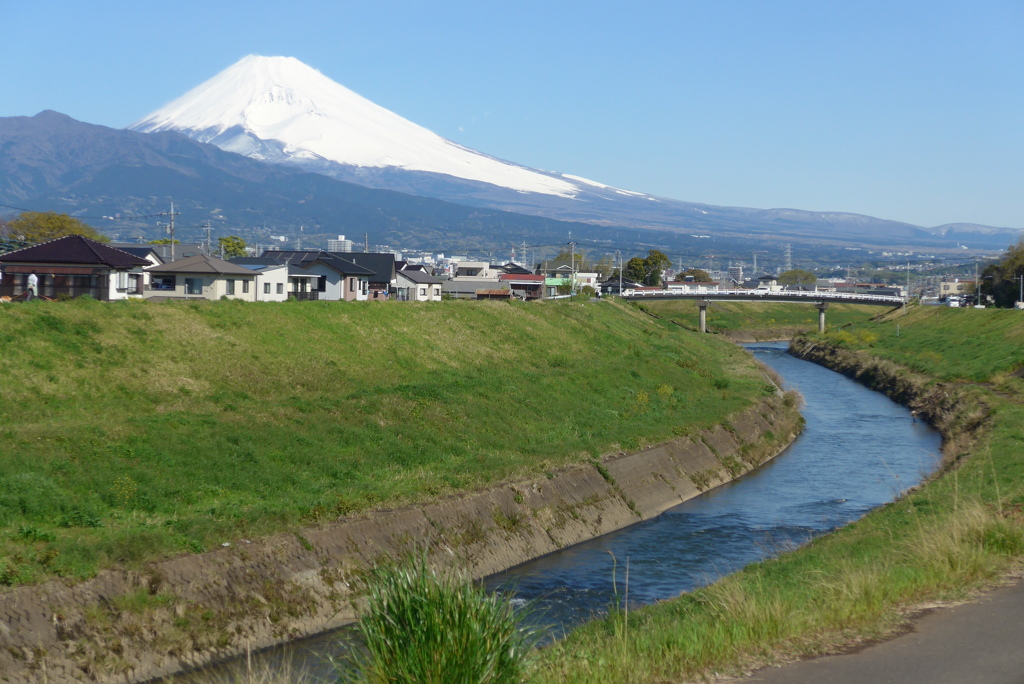 P1210813　4月14日 富士の見える散歩道