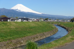 P1210813　4月14日 富士の見える散歩道