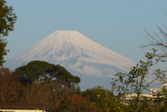 P1280968　12月11日 今朝の富士山