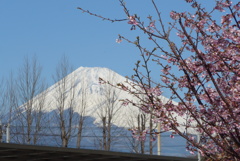 P1320175　2月27日 今日の富士山