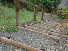下りてみよっかな…