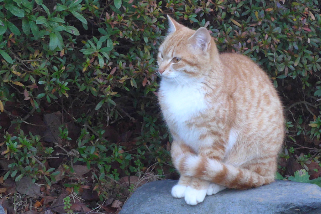 P1190814　お行儀よく～♪