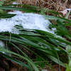 P1070114　雪と…