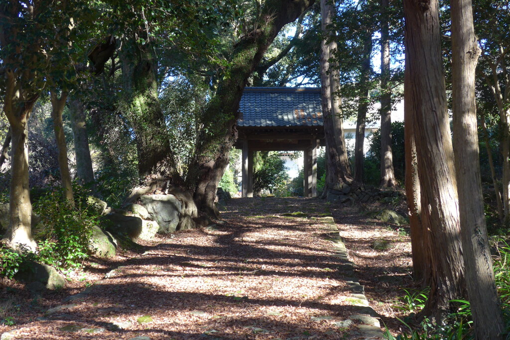 P1390383　いにしえの…