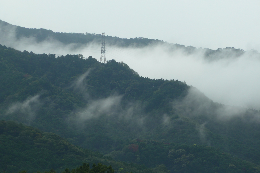 P1240448　雨上がりに